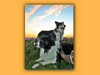 JayJay und Jayla (9).jpg